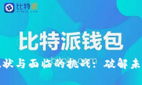 加密货币市场的现状与面临的挑战: 破解未来发展的关键问题
